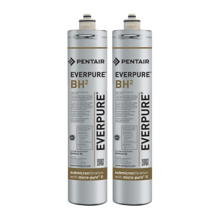Everpure BH2 EV9612-50 Filter Cartridge (2-PACK) - Vita Filters
